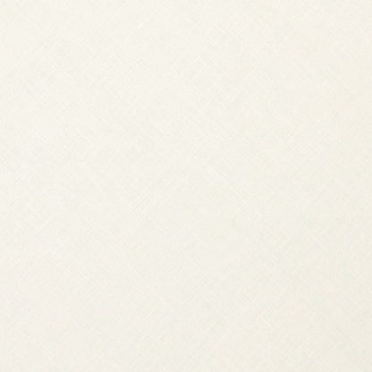 Linen Shirt Fabric(1.6 MTR) Linen Plain Off White-90622